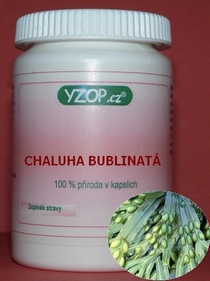 CHALUHA BUBLINATÁ - 100 kapsúl | YZOP