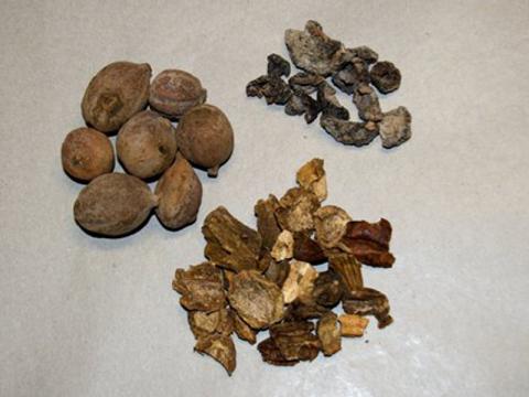 TRIPHALA silne detoxikačný prípravok | Centrum bylín