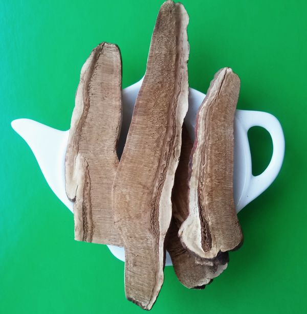 LESKLOKORKA LESKLÁ (REISHI) sušené plátky | Centrum bylín