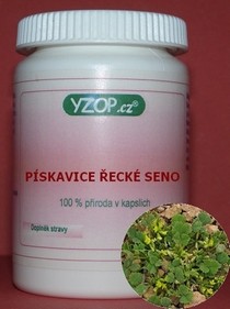 PIESKAVICA GRÉCKE SENO 50 kapsúl | YZOP