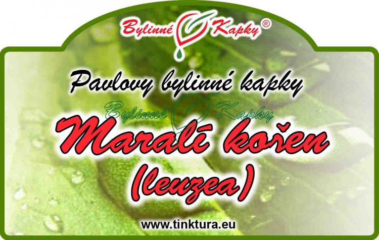 MARALÍ KOREŇ (LEUZEA, PARCHA) kvapky (tinktúra) 50ml | Bylinné kapky