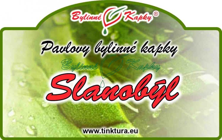 SLANOBÝĽ kvapky (tinktúra) 50ml | Bylinné kapky