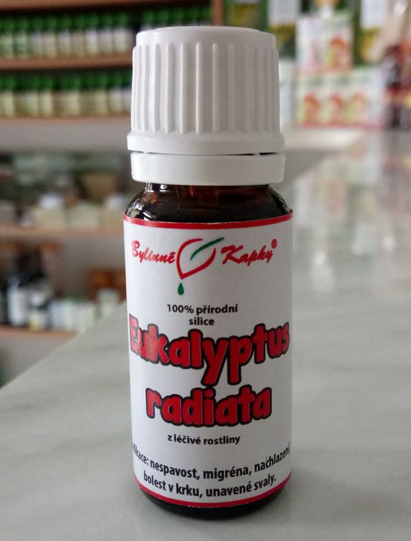 EUKALYPTUS RADIATA 100% prírodná silica 10ml | Bylinné kapky