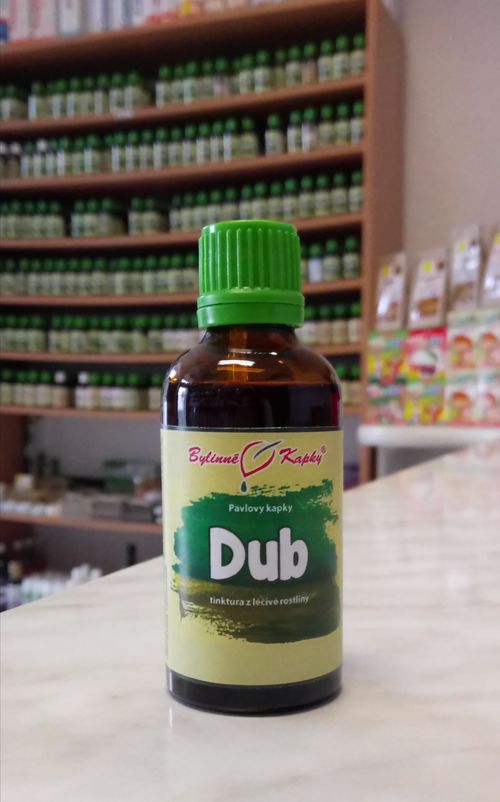 DUB kvapky (tinktúra) 50ml | Bylinné kapky