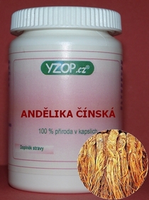 ANJELIKA ČÍNSKA 50 kapsúl | YZOP