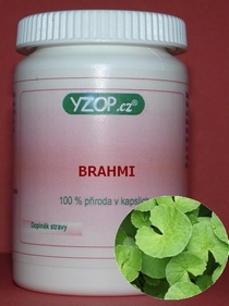 BRAHMI 50 kapsúl | YZOP