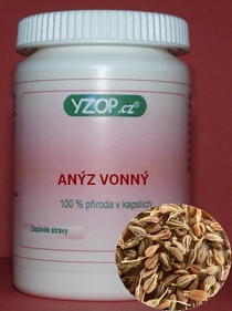 ANÝZ VONNÝ 50 kapsúl | YZOP