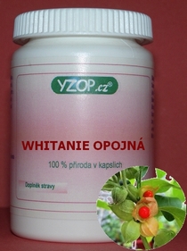 WHITÁNIE OPOJNÁ - 50 kapsúl | YZOP