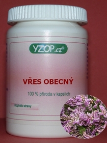 VRES VŠEOBECNÝ 50 kapsúl | YZOP