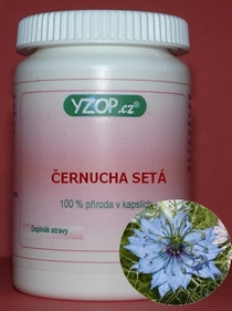 ČERNUCHA SIATA - 50 kapsúl | YZOP