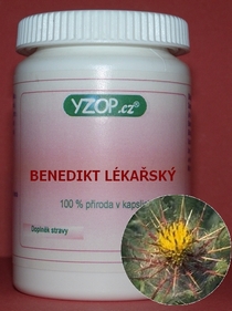 BENEDIKT LEKÁRSKY 50 kapsúl | YZOP
