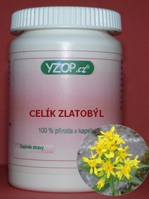 CELÍK ZLATOBYĽ - 50 kapsúl | YZOP