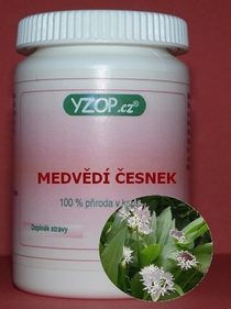CESNAK MEDVEĎÍ - 50 kapsúl | YZOP