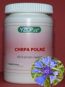 CHRPA POLNÁ - 50 kapsúl | YZOP