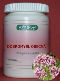 DOBROMYSEL VŠEOBECNÁ - 50 kapsúl | YZOP
