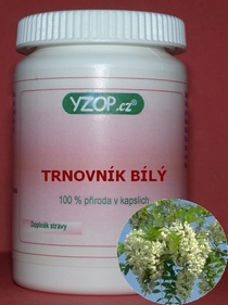 TRNOVNÍK BIELÝ - 50 kapsúl |YZOP