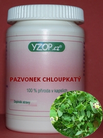 PAZVONEK CHLUPKATÝ - 50 kapsúl | YZOP