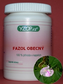FAZOL VŠEOBECNÝ 50 kapsúl | YZOP