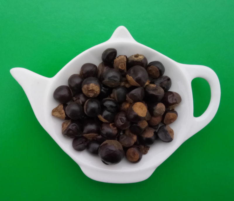GUARANA plod celý | Centrum bylín