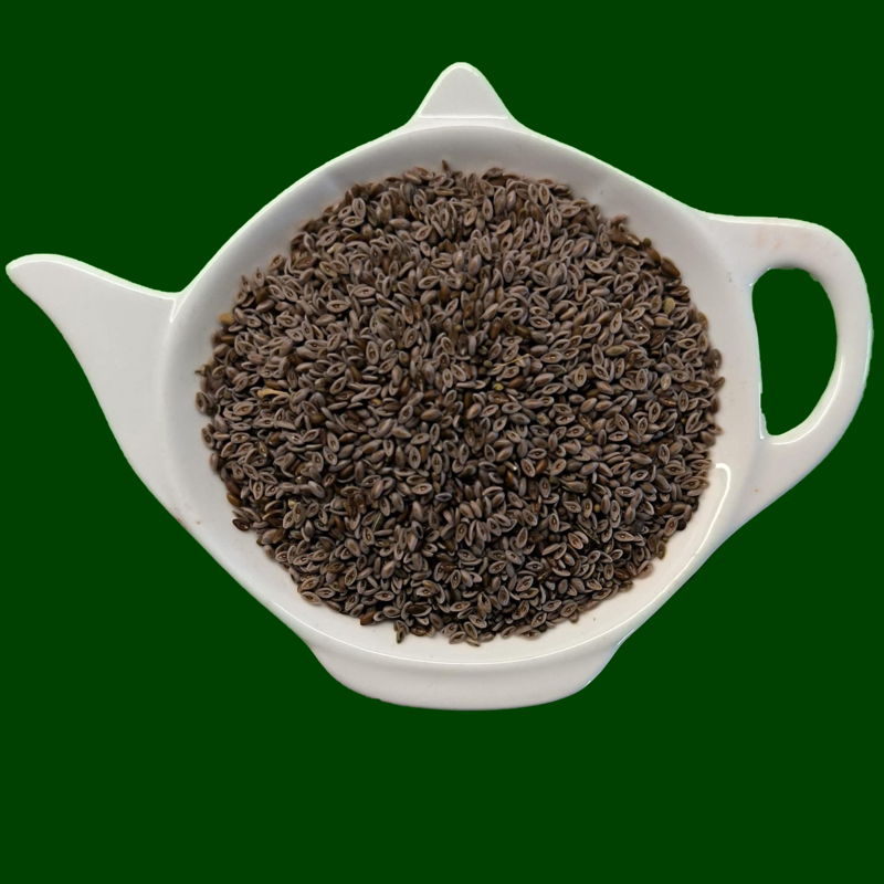 JITROCEL INDICKÝ PSYLLIUM ČIERNE | Centrum bylín