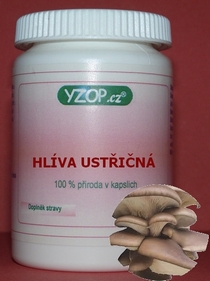 HLIVA ÚSTRIČNÁ - 50 kapsúl | YZOP
