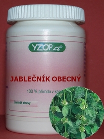 JABLEČNÍK VŠEOBECNÝ - 50 kapsúl | YZOP