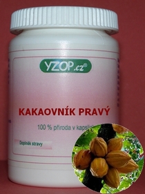 KAKAOVNÍK PRAVÝ - 50 kapsúl | YZOP