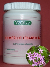 ZEMĚŽLUČ LEKÁRSKA - 50 kapsúl | YZOP