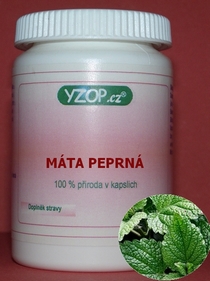 Mäta pieporná 50 kapsúl | YZOP