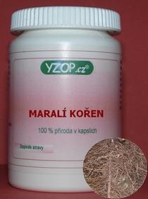 MARALÍ KOREŇ 50 kapsúl | YZOP