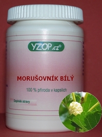 MORUŠOVNÍK BIELÝ - 50 kapsúl | YZOP