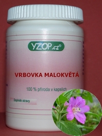 Vrbovka malokvetá - 50 kapsúl | YZOP