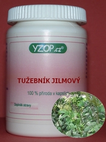 TUŽOBNÍK JILMOVÝ - 50 kapsúl | YZOP
