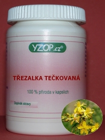 Ľubovník bodkovaný - 50 kapsúl | YZOP