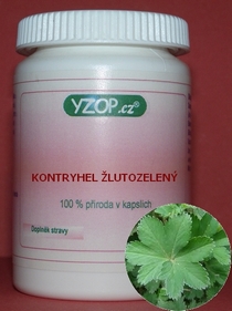 KONTRYHEL VŠEOBECNÝ - 50 kapsúl | YZOP