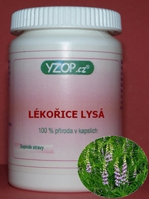 Sladkého drievka LYSÁ 50 kapsúl | YZOP