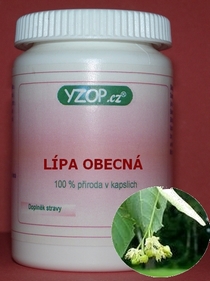 LÍPA VŠEOBECNÁ - 50 kapsúl | YZOP