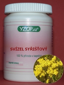 SVIEZEL SYRIŠŤOVÝ - 50 kapsúl | YZOP