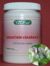 Srdcový pracovník obyčajný - 50 kapsúl | YZOP
