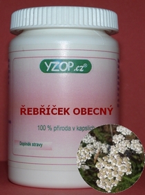 REBRÍČEK VŠEOBECNÝ - 50 kapsulu | YZOP