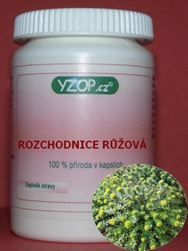 ROZCHODNICA RUŽOVÁ - 50 kapsúl | YZOP