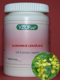 KOMONICA LEKÁRSKA - 50 kapsúl | YZOP