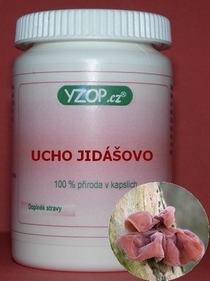 UCHO JIDÁŠOVO - 50 kapsúl | YZOP