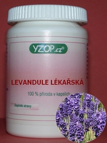 LEVANDUĽA LEKÁRSKA - 50 kapsúl | YZOP