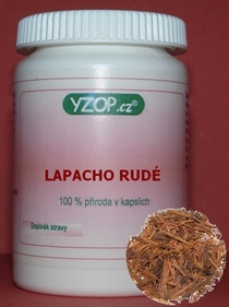LAPACHO RUDÉ 50 kapsúl | YZOP