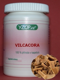 VILCACORA - MAČIČÍ DRAP - 50 kapsúl | YZOP