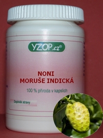 NONI 50 kapsúl | YZOP