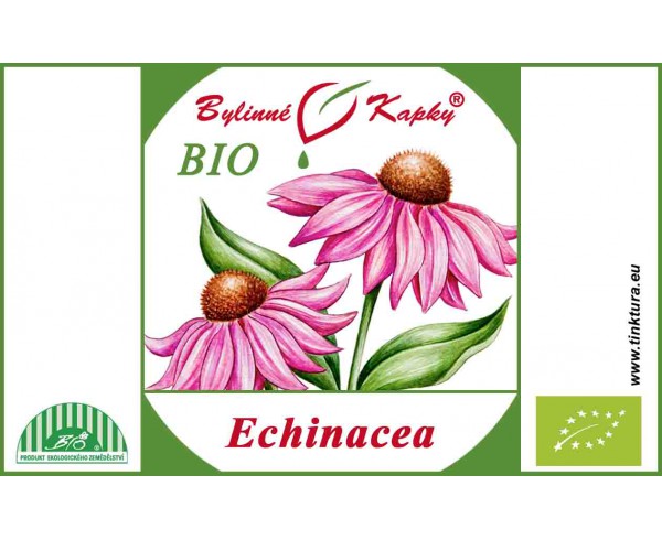 ECHINACEA PURPUREA BIO kvapky (tinktúra) 50ml | Bylinné kapky