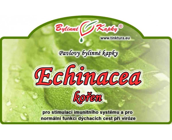 ECHINACEA koreň kvapky (tinktúra) 50ml | Bylinné kapky